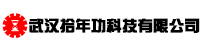 武汉拾年功科技有限公司